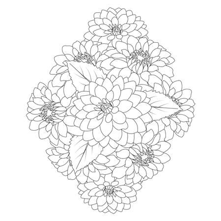dahlia flower illustration with pencil stroke in doodle art design of coloring page design. dahlia flower black and white line art. garden dahlia flower illustration with leaves.のイラスト素材