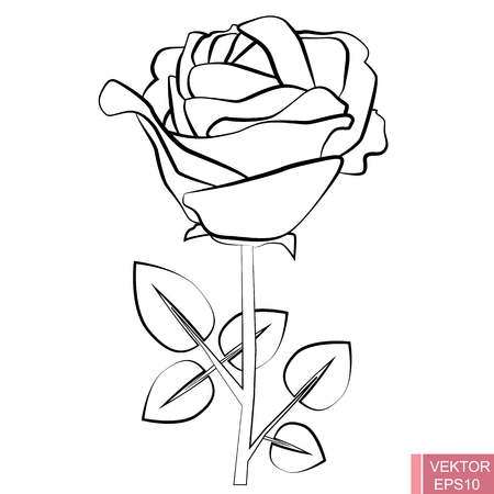 Rose flower. Silhouette. Black contour on white background. For your design.のイラスト素材