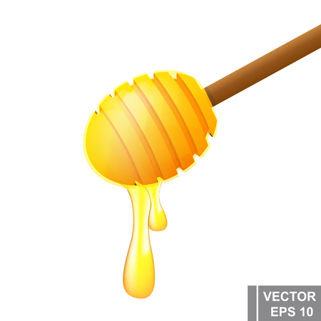 The bee. Tasty and healthy honey. A cartoon. For your design.のイラスト素材