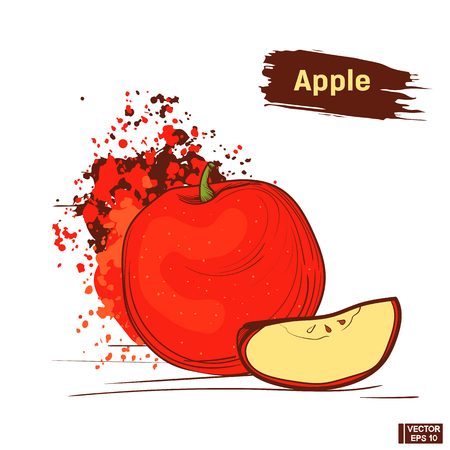 Vector image. Picture of the red apple. Sketch fruit hand drawing. Colored splashes and blotsのイラスト素材