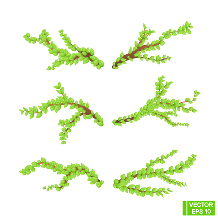 Vector image. A set of green branches. Tree branches as separate elements on an isolated backgroundのイラスト素材
