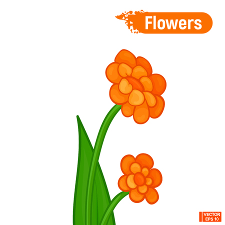Bright color sketch Orange abstract flowersのイラスト素材