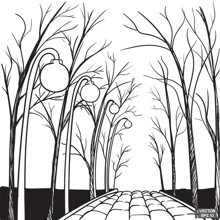 Vector image. Sketch of avenues with lanterns and trees. City Parkのイラスト素材