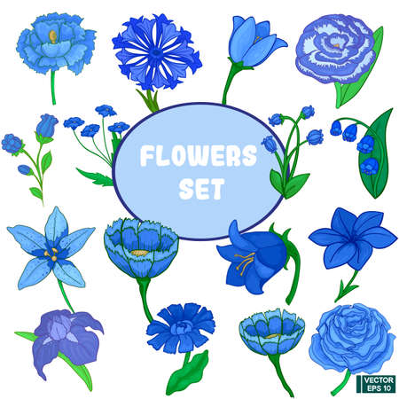 A set of various flowers of blue colors. Isolated over white background.のイラスト素材