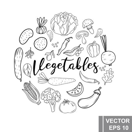 Hand drawing. Vegetables. Set. For your design. Healthy eatingのイラスト素材