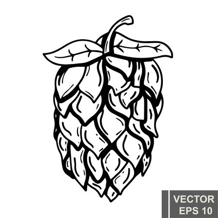 Beer. The icon. Isolated. Alcoholic drink. For your designのイラスト素材