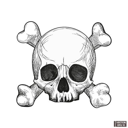 Vector illustration. Skull and bones. Hand drawn anatomy human skull engraved style. Vintage halloween illustration.のイラスト素材