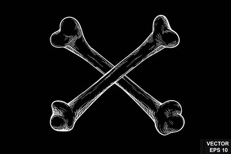 Skull. Bones. On a chalk board. Sketch. For your design.のイラスト素材