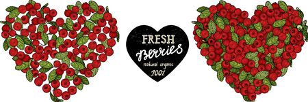 Ðeart shape of cranberries isolated. Red berries with green leaves on a white background.  Flat lay image.のイラスト素材