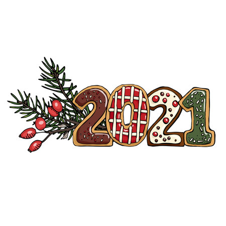 Vector plant new year's composition 2021. Christmas tree branches, winter rosehip berries, delicious cookies isolated on a white backgroundのイラスト素材
