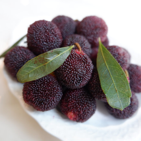 Myrica rubra is also called yangmei, yamamomo, Chinese bayberry, Japanese bayberry, red bayberry, yumberry, waxberry, or Chinese strawberry.の写真素材