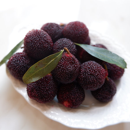 Myrica rubra is also called yangmei, yamamomo, Chinese bayberry, Japanese bayberry, red bayberry, yumberry, waxberry, or Chinese strawberry.の写真素材