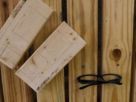 Eye and pineの写真素材