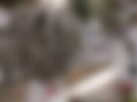 Natural blurred background shade of grey color.の写真素材