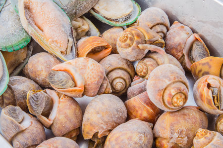 shell seafood freezの写真素材