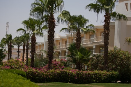 Resort Palm Royaleの写真素材