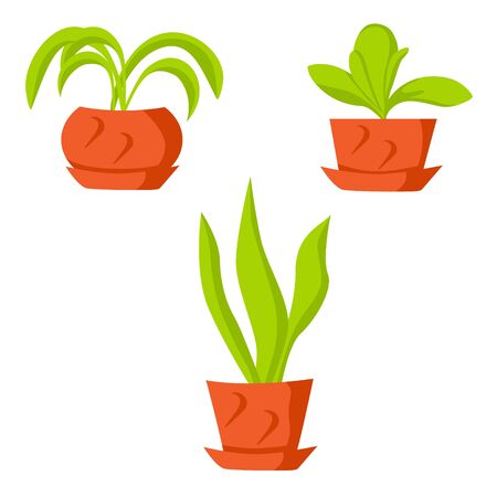 Vector drawing green indoor flowers in pots on a white isolated backgroundのイラスト素材