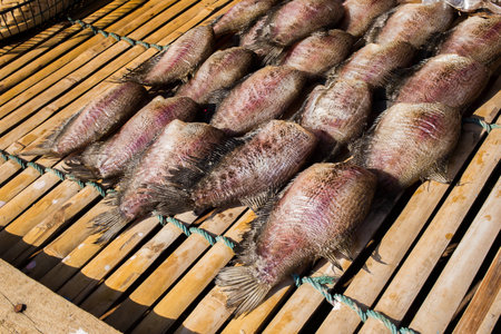 dried salted damsel fishの写真素材