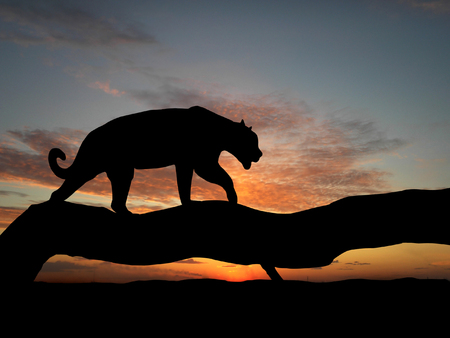 Silhouette of leopard on tree over sunsetの写真素材