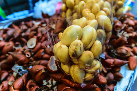 Luk rakam in Thailandの写真素材