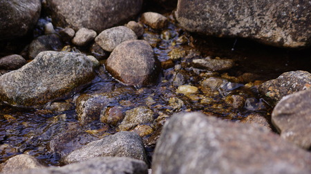 beautiful water running through stones