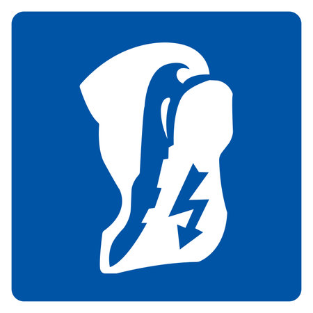 Wear Antistatic Shoes Symbol Sign, Vector Illustration, Isolate On White Background Label.EPS10のイラスト素材