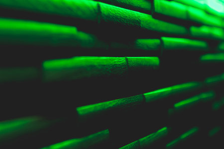 Perspective wood texture in green lightの写真素材