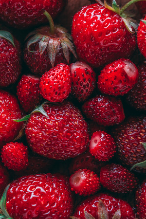 Strawberry and wild strawberry macro closeup textureの写真素材