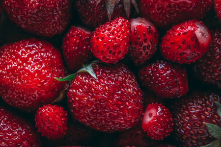 Strawberry and wild strawberry macro closeup textureの写真素材