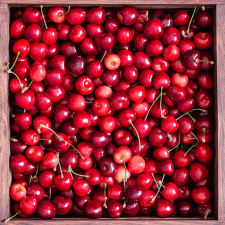 Sweet cherries in the wooden box on the wooden tableの写真素材