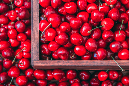 Sweet cherries in the wooden box on the wooden tableの写真素材