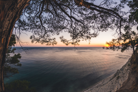 Seascape sunset with coniferous tree and rock beachの写真素材