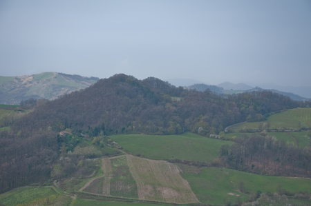 pinot noir vineyard located Oltrepo Pavese,italyのeditorial素材