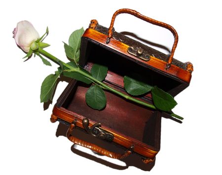 Rose and gripsack.  compositionの写真素材