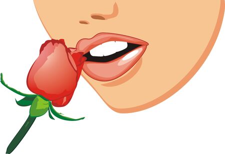 Red rose and female smile. Fragment. Vectorのイラスト素材