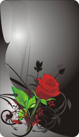 Red rose and decorative twigs. Background for card. Vectorのイラスト素材