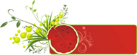 Watermelon and sprigs. Banner. Vectorのイラスト素材