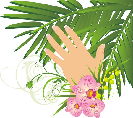 Womanish hand and branch of palm. Vectorのイラスト素材