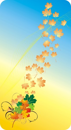 Varicolored maple leaves. Vectorのイラスト素材