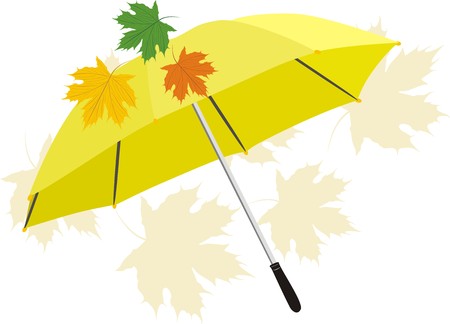 Umbrella and maple leaves. Vectorのイラスト素材