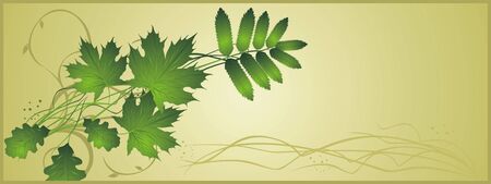 Leaves. Abstract composition for banner. Vectorのイラスト素材