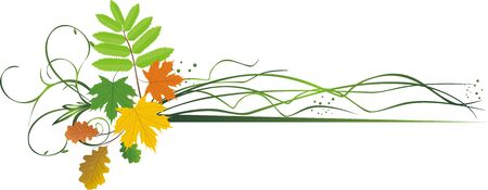 Leaves. Composition for banner. Vectorのイラスト素材