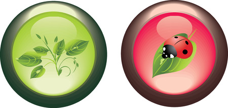 Two isolated buttons. Spring concept. のイラスト素材