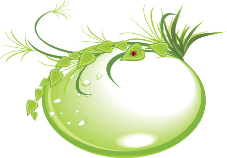 Drops with sprigs, grass and ladybird. Spring concept. のイラスト素材
