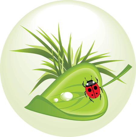 Sheet with ladybird. Spring concept. のイラスト素材