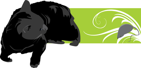 Cat with mouse. Banner.のイラスト素材