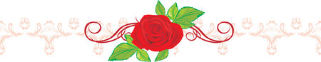 Red rose and ribbon with floral ornament. Vectorのイラスト素材