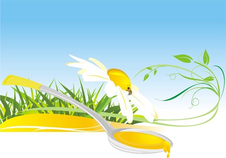 Floral honey. Composition for cardのイラスト素材