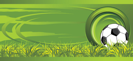 Soccer ball on the meadow. Decorative bannerのイラスト素材