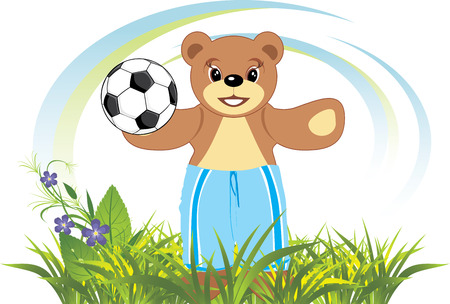 Bruin with soccer ball on the meadowのイラスト素材